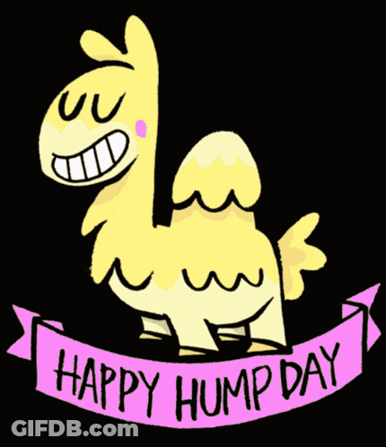 Happy Hump Day Llama Sign GIF