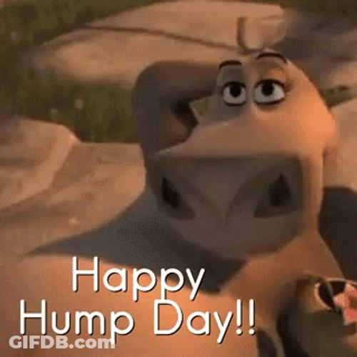 Happy Hump Day Madagascar Hippo Fictional Character GIF