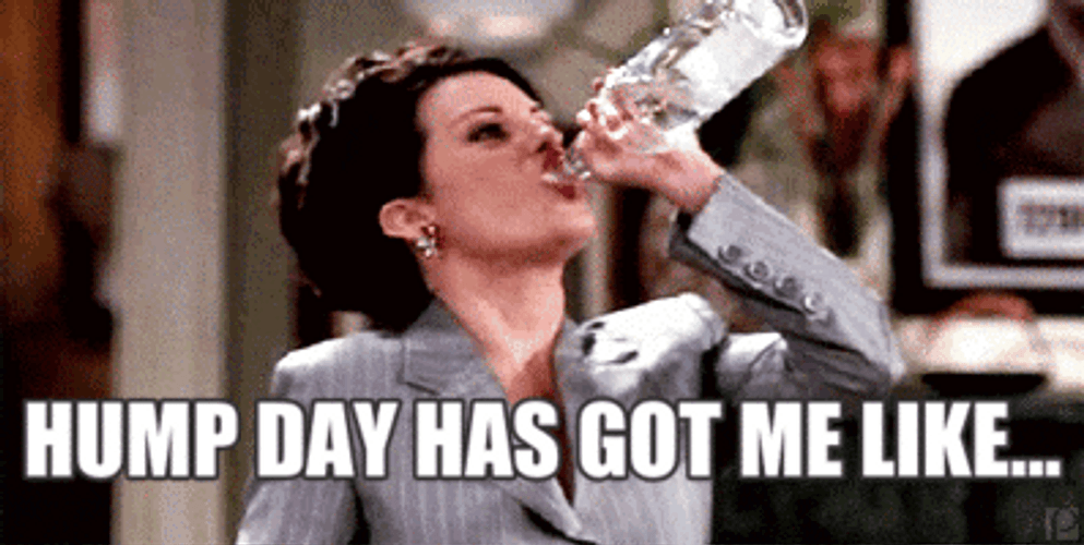 Happy Hump Day Meme Got Me Like GIF