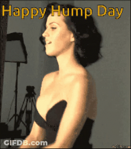 Happy Hump Day Singer Katy Perry GIF