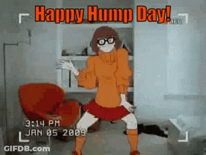 Happy Hump Day Velma Dinkley Fictional Character GIF