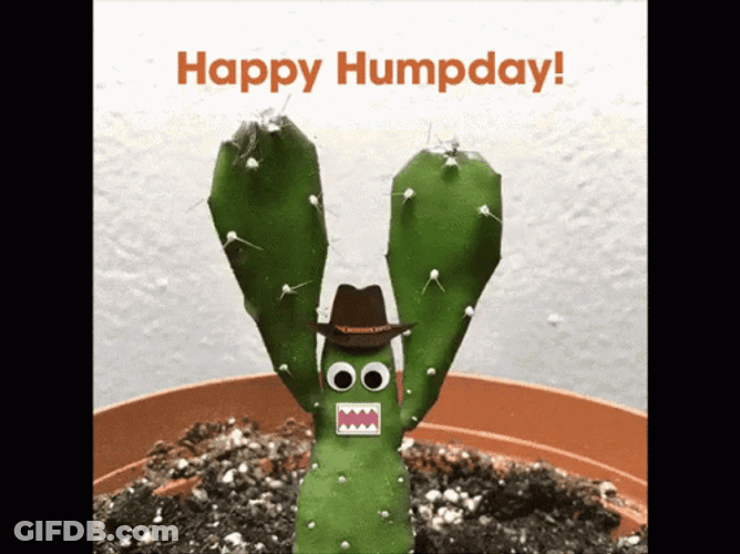 Happy Hump Day Waving Cactus Animation GIF