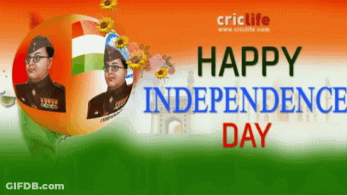 Happy Independence Day Soldier GIF