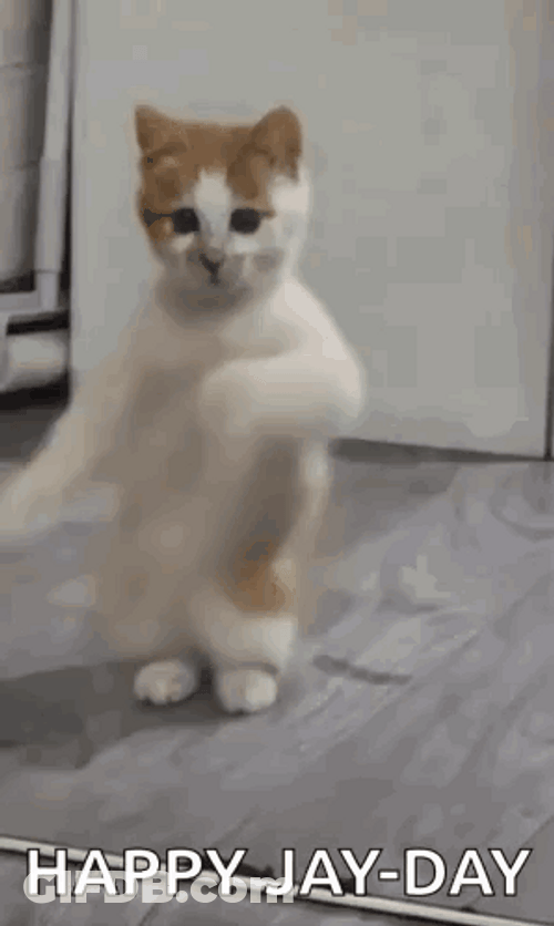 Happy Jay Cat Day Meme GIF