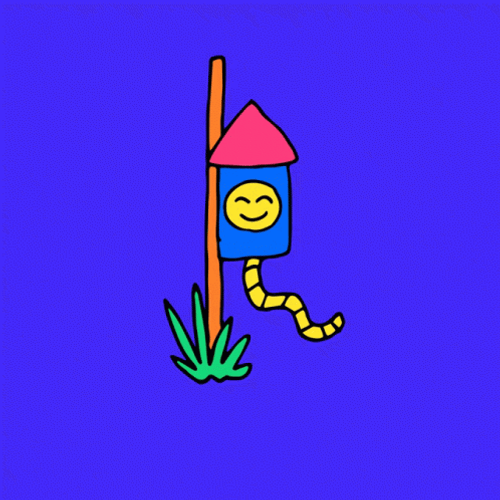 Happy July Rocket Surprise GIF