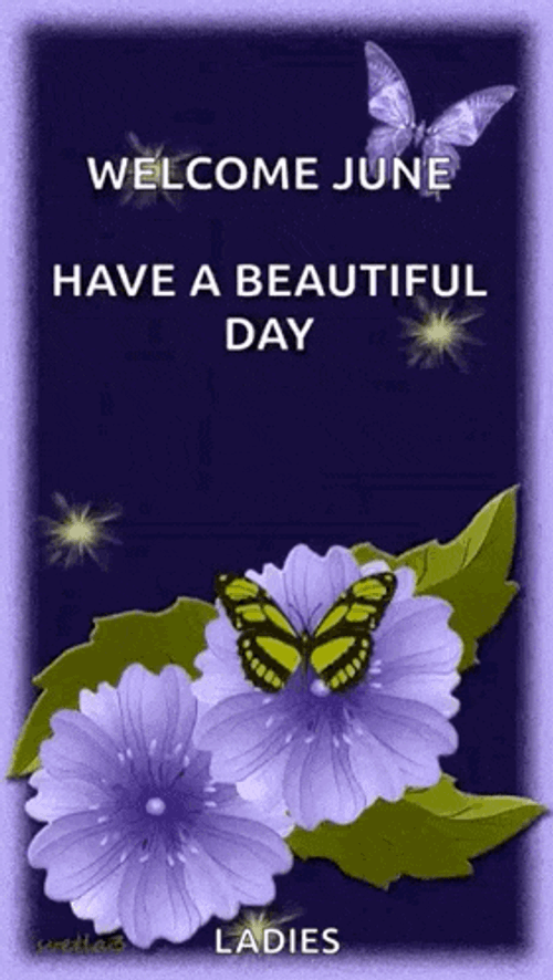 Happy June First Day Of The Month GIF