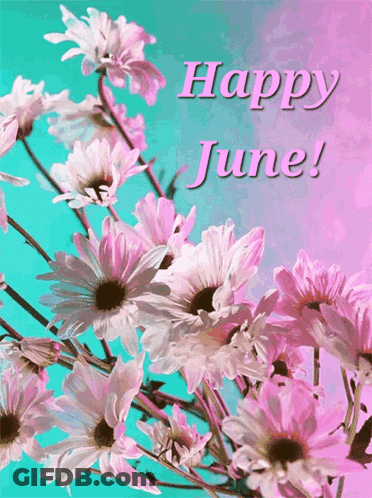 Happy June Greeting Card With Pink And White Flowers GIF