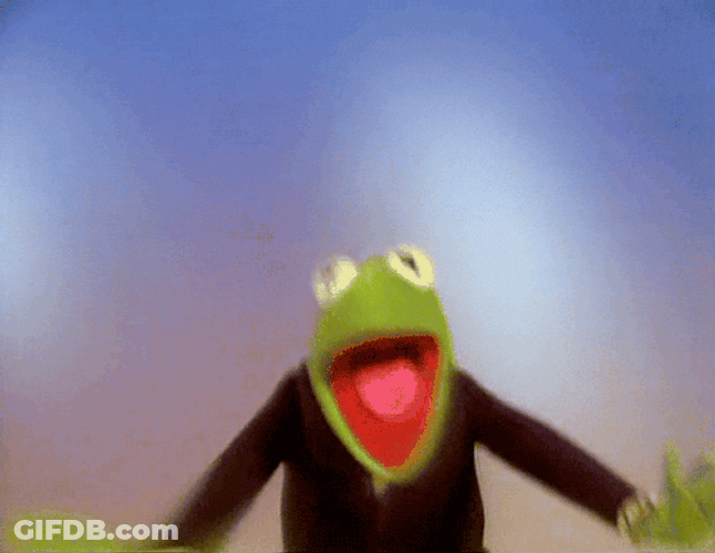 Happy Kermit The Frog GIF