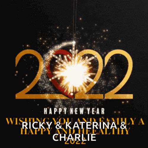 Happy Lunar New Year Fireworks Greetings GIF