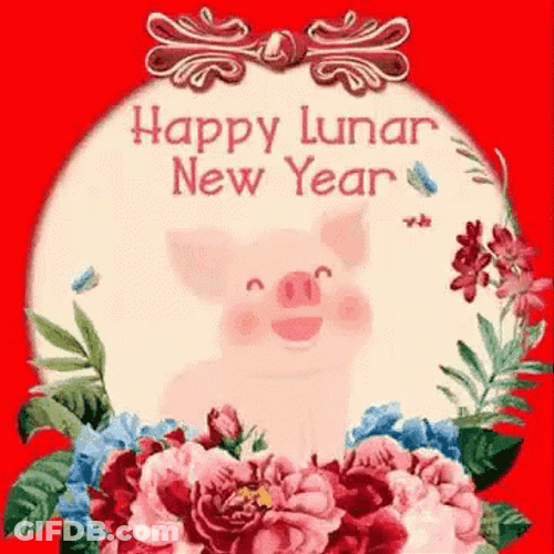 Happy Lunar New Year Happy Pig GIF