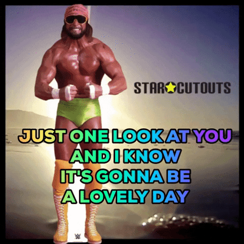 Happy Macho Man Day GIF