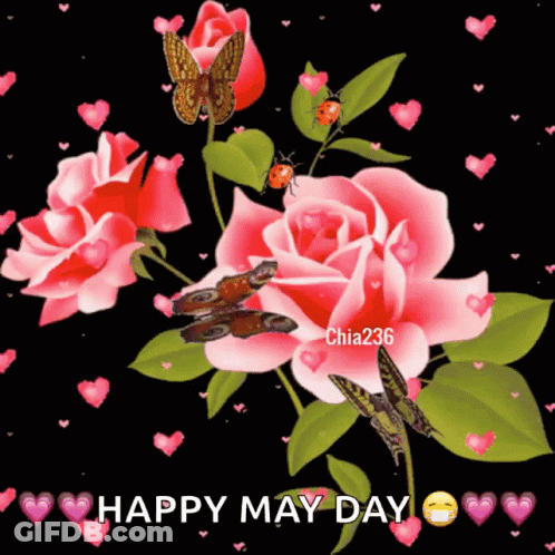 Happy May Day Greeting Card With Butterflies And Roses GIF