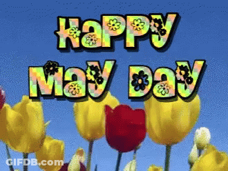 Happy May Day Greeting With Flowers GIF