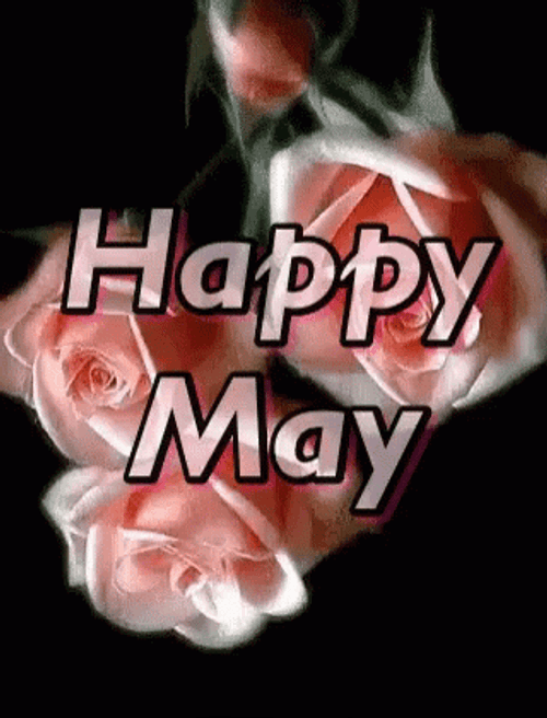 Happy May Pink Roses Illusion GIF