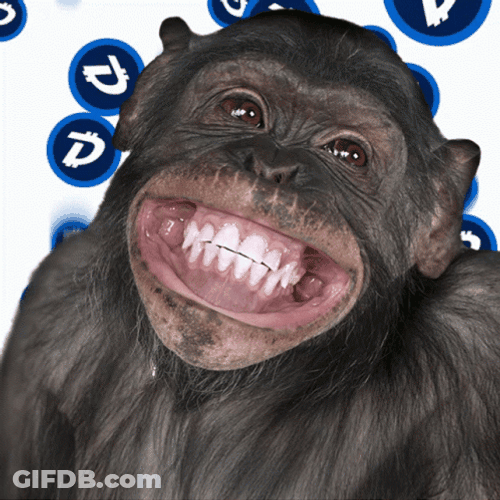 Happy Meme Funny Monkey Face GIF