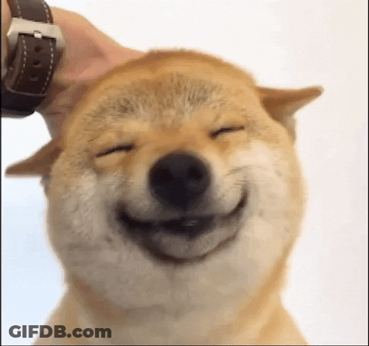Happy Meme Shiba Inu GIF