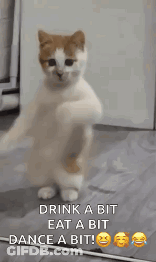Happy Meme Turkish Van GIF