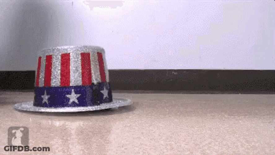 Happy Memorial Day Cat Out Of Hat Cute GIF