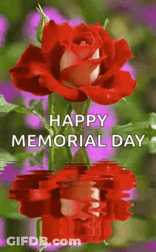 Happy Memorial Day Flower Water Reflection GIF