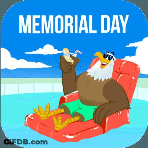 Happy Memorial Day USA Eagle Floater Beach Relax GIF
