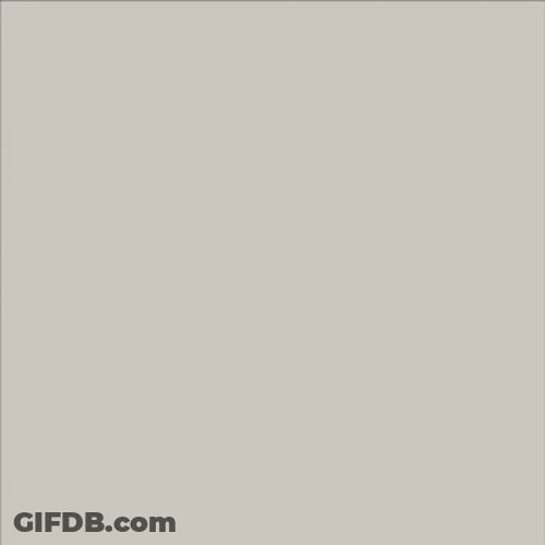 Happy Memorial Day Weekend UC Law GIF