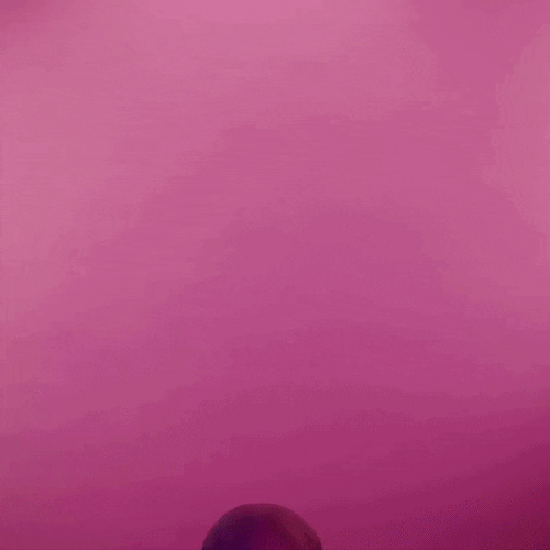 Happy Monday Good Morning Rose GIF
