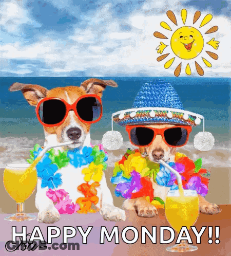Happy Monday Greeting Two Dogs In Sunglasses And Flowers GIF