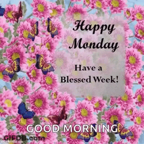 Happy Monday Have A Blessed Week ! Good Morning With Pink Flowers And Butterflies GIF