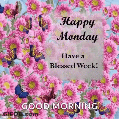 Happy Monday Have A Blessed Week Greeting Card With Pink Flowers And Butterflies GIF