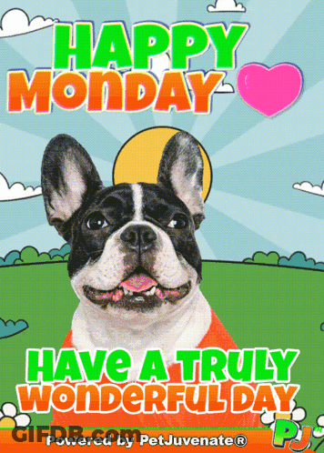 Happy Monday Have A Wonderful Day Poster GIF