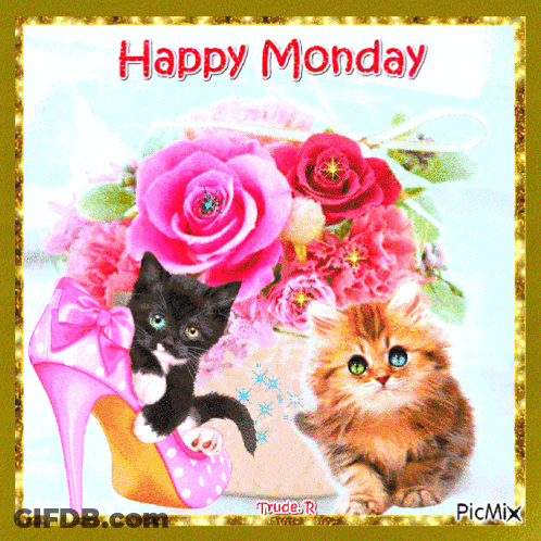 Happy Monday Kittens With Pink Roses GIF