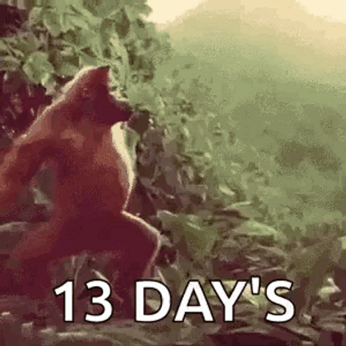 Happy Monkey Dancing 13 Days GIF