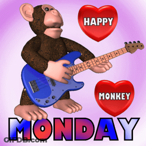 Happy Monkey Monday Blessings GIF