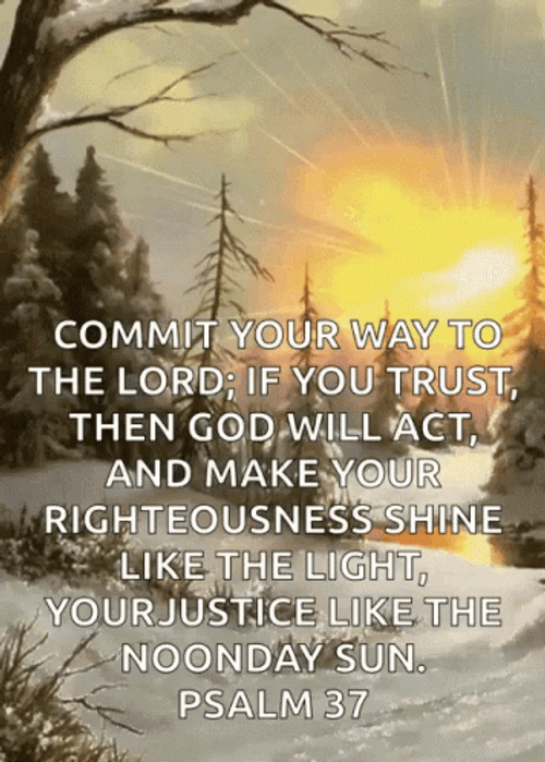 Happy Morning Sunshine Winter Saturday GIF