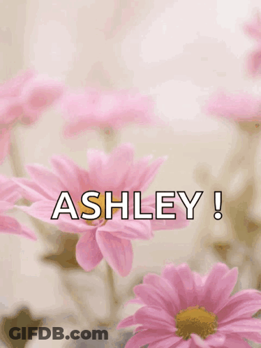 Happy Mother's Day Card Pink Flowers GIF