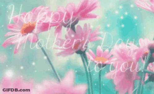Happy Mother's Day Card With Pink Daisies GIF