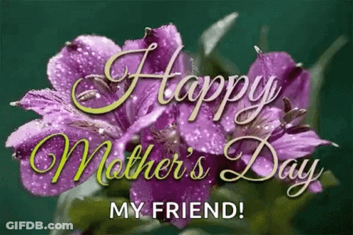 Happy Mother's Day Card With Pink Daisies GIF