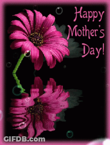 Happy Mother's Day Card With Pink Flower GIF