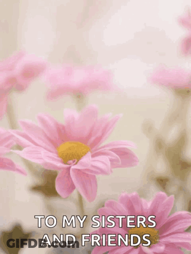 Happy Mother's Day Card With Pink Flowers GIF