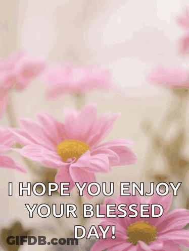 Happy Mother's Day Card With Pink Flowers GIF