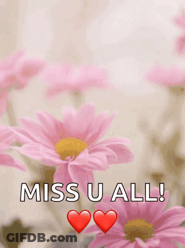Happy Mother's Day Card With Pink Roses And Love You GIF
