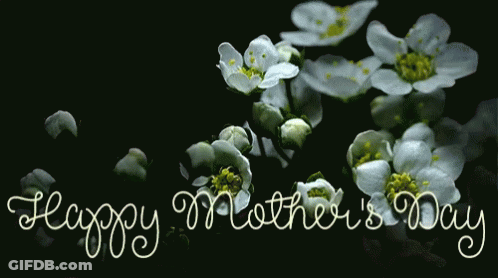 Happy Mother's Day Greeting With White Flowers GIF