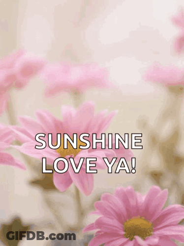 Happy Mother 'S Day Sunshine Love Ya GIF