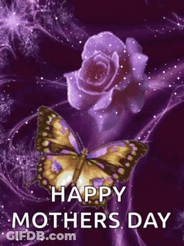 Happy Mothers Day Card With Butterfly And Purple Rose GIF