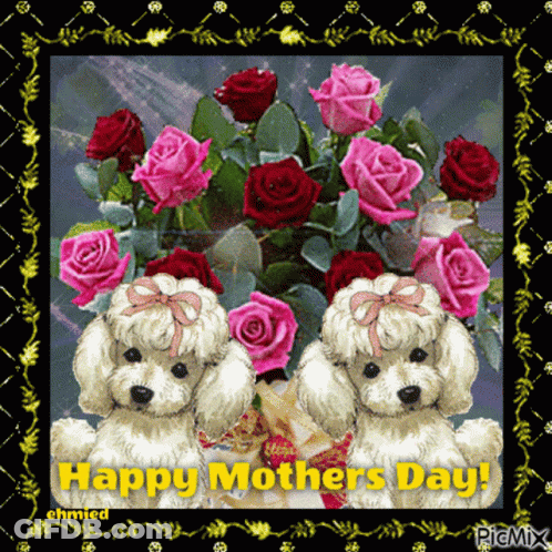 Happy Mothers Day Card With Poodles And Roses GIF