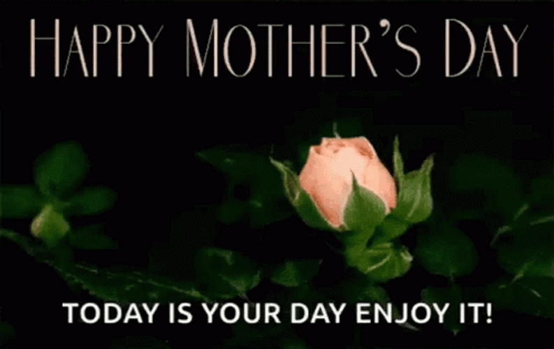 Happy Mothers Day Daughter In Law Enjoy Today GIF