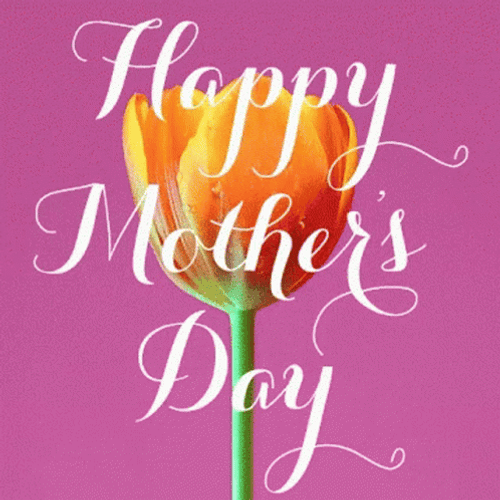 Happy Mothers Day Daughter In Law Glowing Tulip GIF