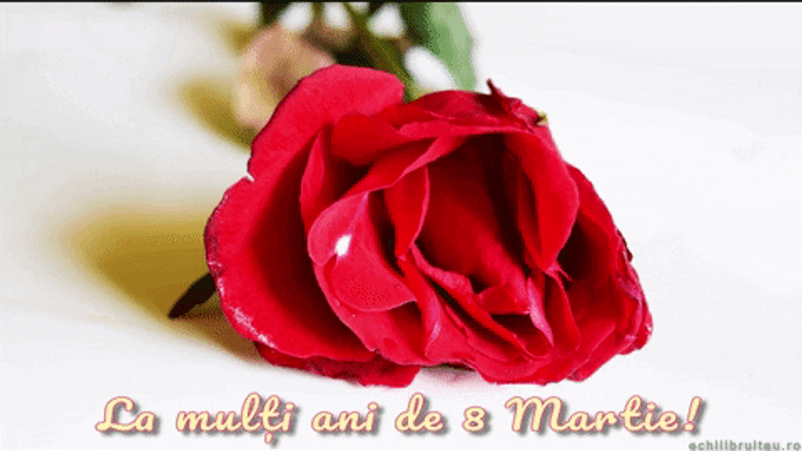 Happy Mothers Day Daughter Red Rose Tribute GIF