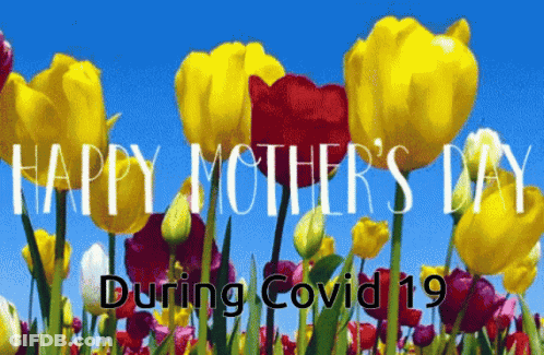Happy Mothers Day Flowers During Covid GIF