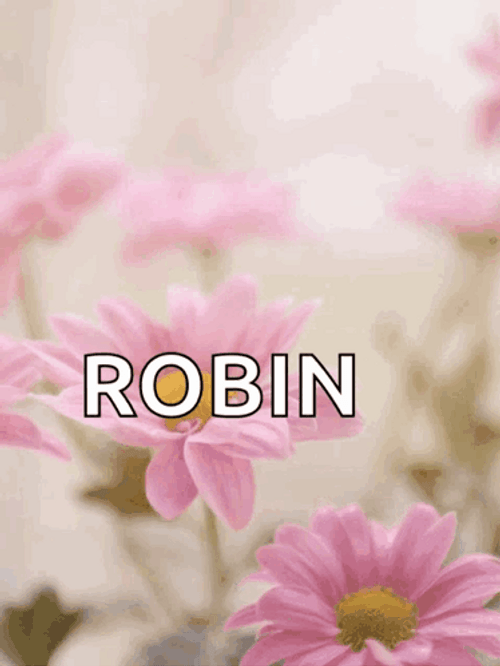 Happy Mothers Day Funny Pink Daisy GIF